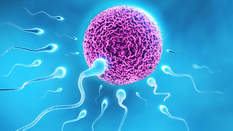 Το ανδρικό σπέρμα αποδυναμώνεται και το ανθρώπινο είδος κινδυνεύει με… εξαφάνιση