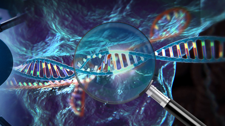 Έμβρυα κατά παραγγελία Έμβρυα κατά παραγγελία