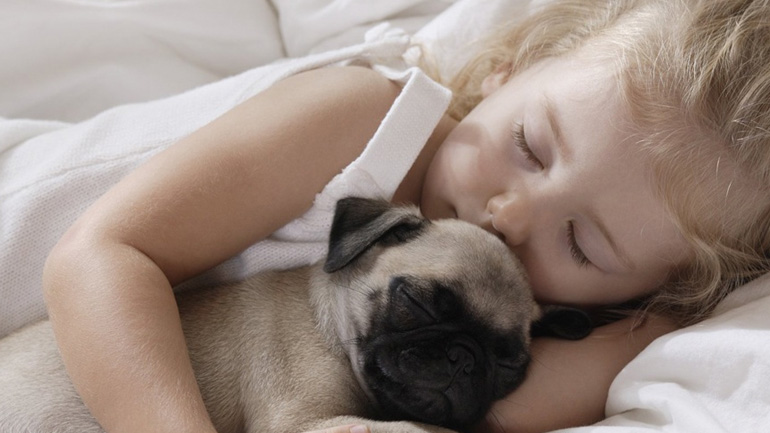 Αντιστοιχία ηλικίας σκύλου και ανθρώπου