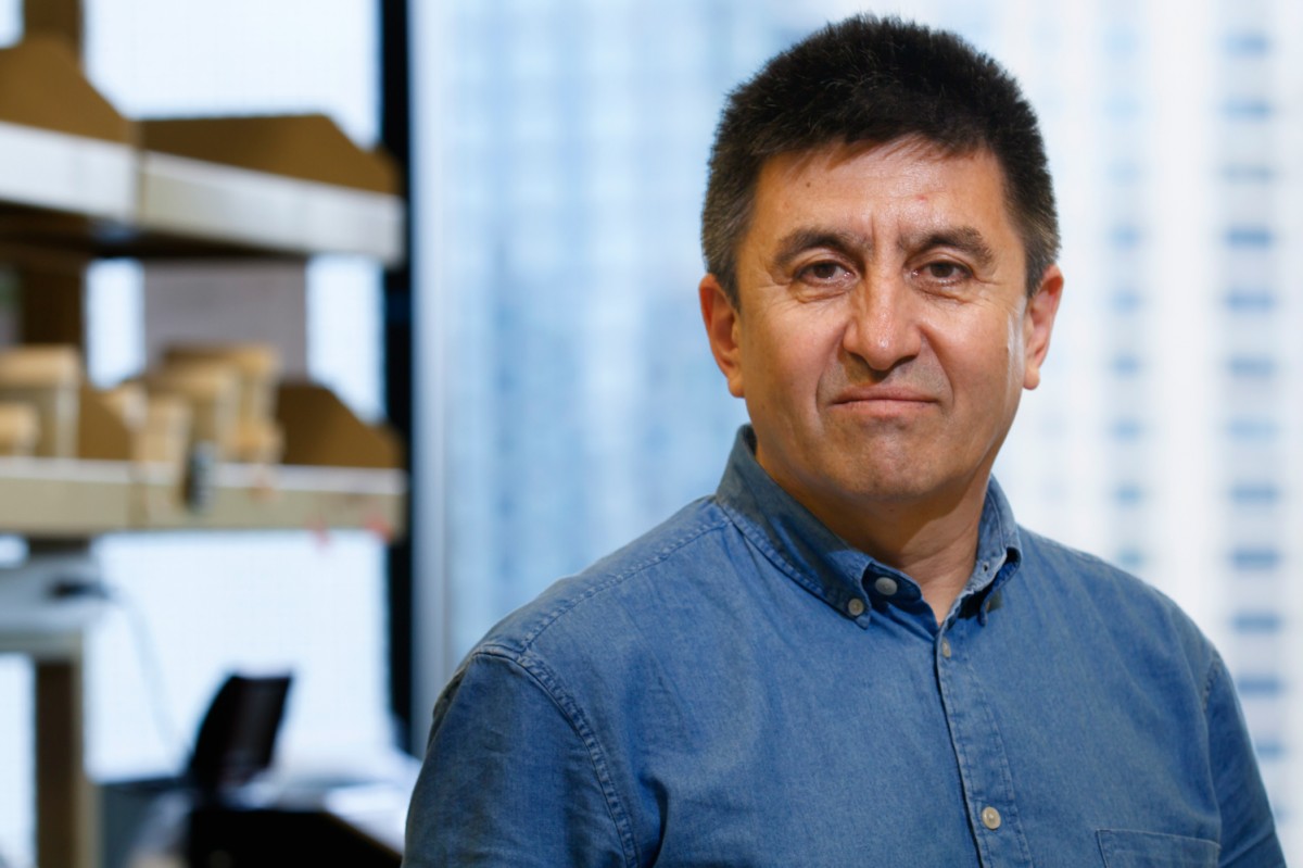 O Shoukhrat Mitalipov