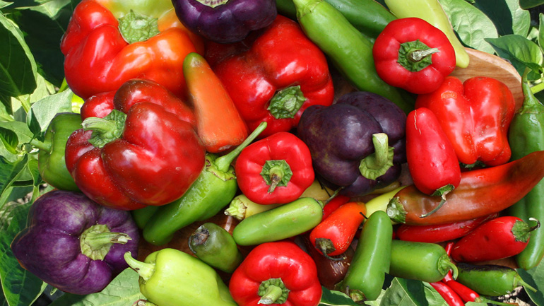 Δεσμεύτηκαν οπωροκηπευτικά σε επιχείρηση του Πειραιά