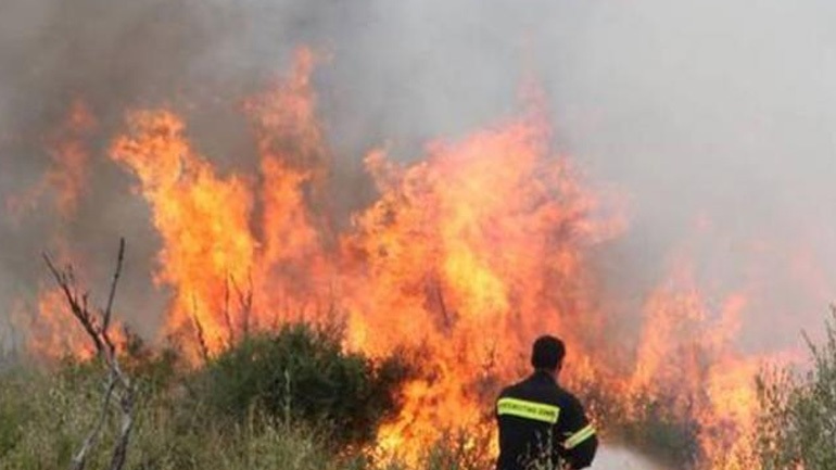 Πυρκαγιά στα Καλύβια Αττικής