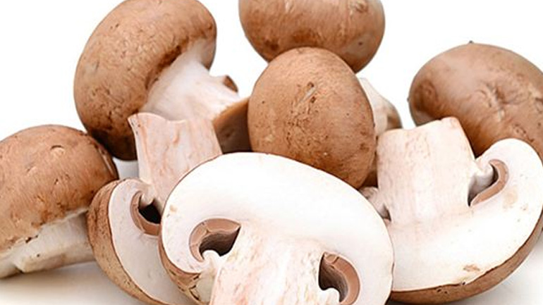 Η άγνωστη λιποδιαλυτική ιδιότητα των μανιταριών