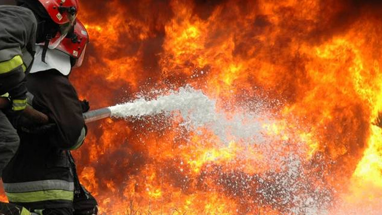 Φωτιά σε δασική έκταση στην περιοχή Γλυκορρίζι Μεσσηνίας