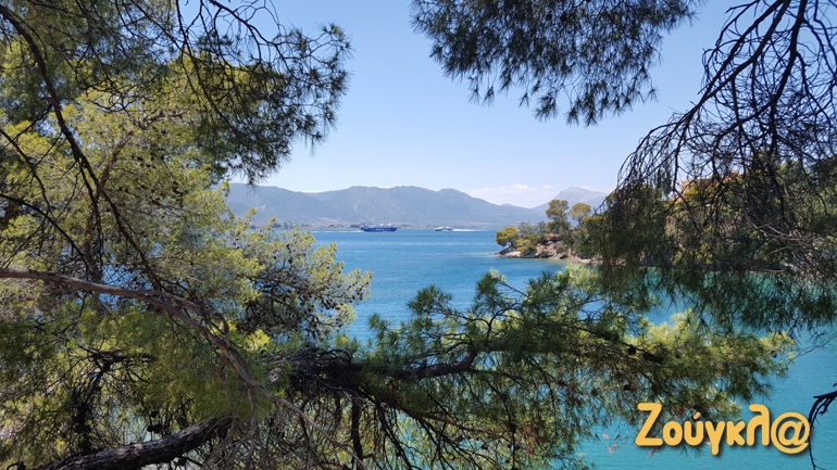 Πεύκα, θάλασσα, ήλιος. Σκέτη μαγεία...