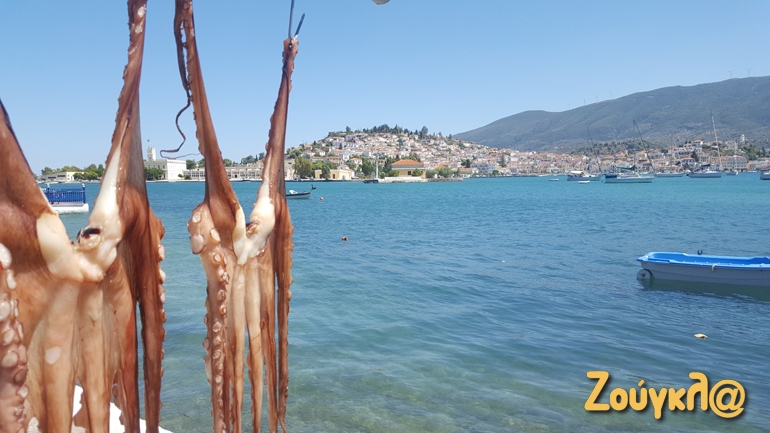 Χταπόδι, ουζάκι και καλή παρέα. Τρία συστατικά που θα σε κάνουν να περάσεις καλά...