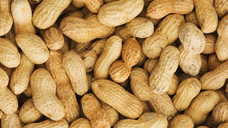 Eντοπίστηκαν 24 τόνοι φιστίκια με σαλμονέλα