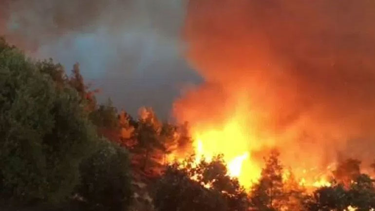 Σε εξέλιξη πυρκαγιά στην περιοχή Ασπρόκαμπος Κιάτου