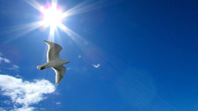 Ο καιρός των επομένων ημερών