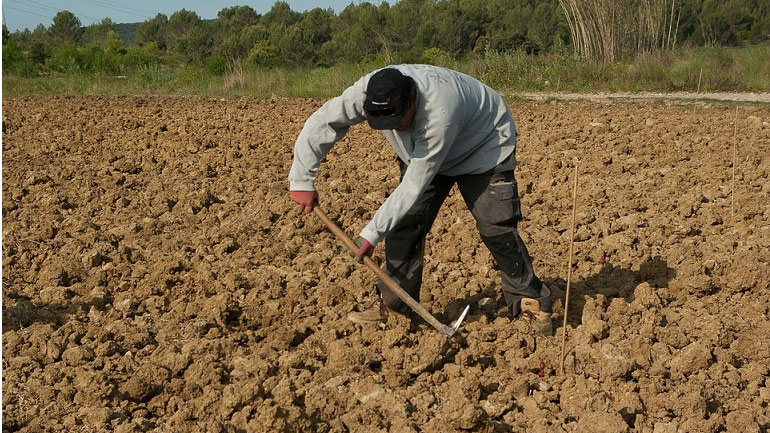 Βιβλίο απασχολούμενων «ανοίγουν» οι αγρότες