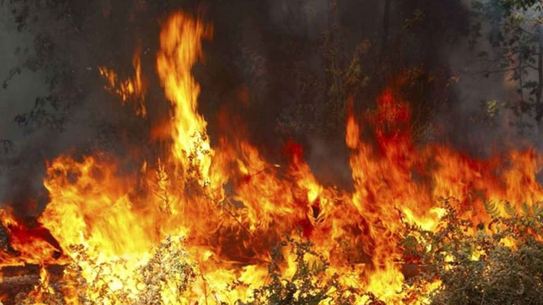 Μυτιλήνη: Ολονύχτια μάχη με τις φλόγες μεταξύ Γέρας και Πλωμαρίου