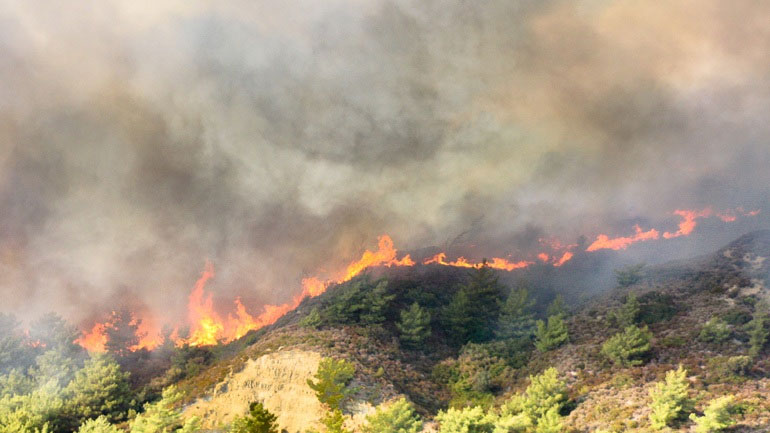 Υπό μερικό έλεγχο η φωτιά στην Κούμανη Ηλείας