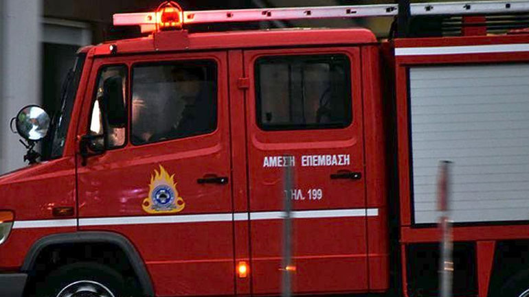 Πτολεμαϊδα: Πυροσβέστες απεγκλώβισαν ταύρο από χαράδρα βάθους 80 μέτρων έπειτα από πολύωρη επιχείρηση