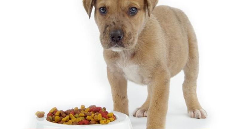 Πώς να διαβάζω τι περιέχει μια κονσέρβα σκύλου;