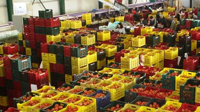 Δεσμεύτηκαν 2 τόνοι ντομάτες στη λαχαναγορά του Ρέντη