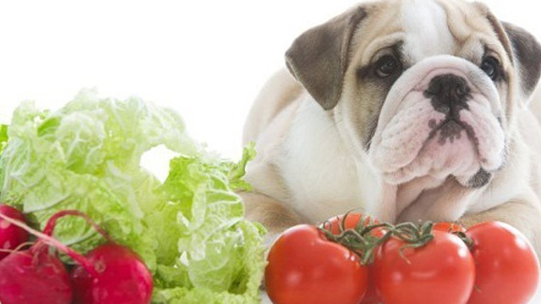 Ποια είναι τα βασικά συστατικά μιας υγιεινής δίαιτας για τον σκύλο μου
