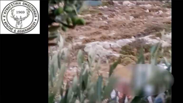 Λασίθι: Σύλληψη λαθροκυνηγών on camera από την Ομοσπονδιακή Θηροφυλακή