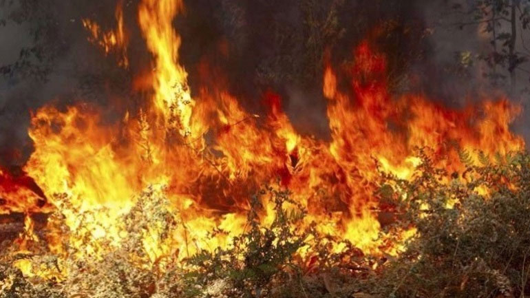 Ενισχύσεις από την Αθήνα για την αντιμετώπιση της πυρκαγιάς στη Τζιά