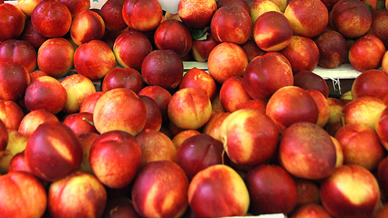 Δωρεά στο Κοινωνικό Παντοπωλείο του Δήμου Χανίων 20 τόνοι νεκταρίνια