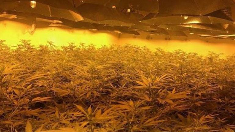 Βρετανία: Μέλη συμμορίας μετέτρεψαν πρώην πυρηνικό καταφύγιο σε βιομηχανία παραγωγής… χασίς