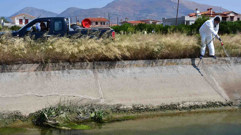 Συνεχίζονται στην Αργολίδα με εντατικούς ρυθμούς οι ψεκασμοί για τον ιό του Δυτικού Νείλου