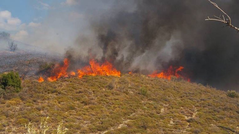 Σε ύφεση η πυρκαγιά στο Κορωπί