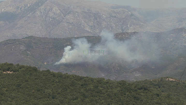 Καλή εικόνα από τα μέτωπα της φωτιάς στη Θεσπρωτία