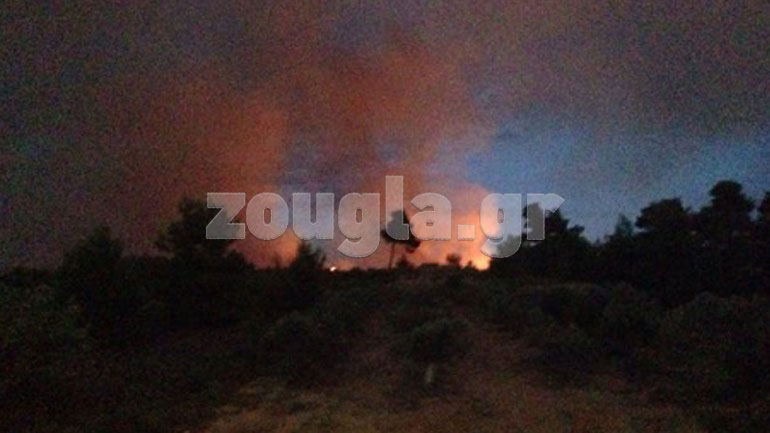 Σε κατάσταση εκτάκτου ανάγκης ο δήμος Ωρωπού λόγω της πυρκαγιάς στον Κάλαμο