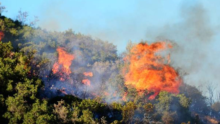Ζάκυνθος: Νέα πυρκαγιά εκδηλώθηκε σε δάσος στο χωριό Καλαμάκι