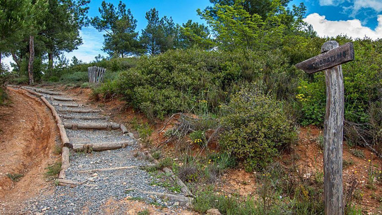 Απαγόρευση κυκλοφορίας σήμερα το βράδυ στο δάσος του Σεϊχ-Σου Απαγόρευση κυκλοφορίας σήμερα το βράδυ στο δάσος του Σεϊχ-Σου