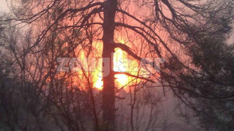 Αναζωπυρώνονται τα μέτωπα στον Κάλαμο