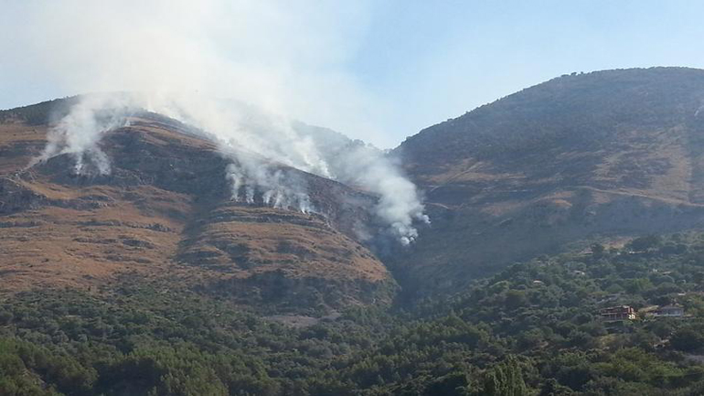 Σε εξέλιξη η πυρκαγιά στην Φοινίκη