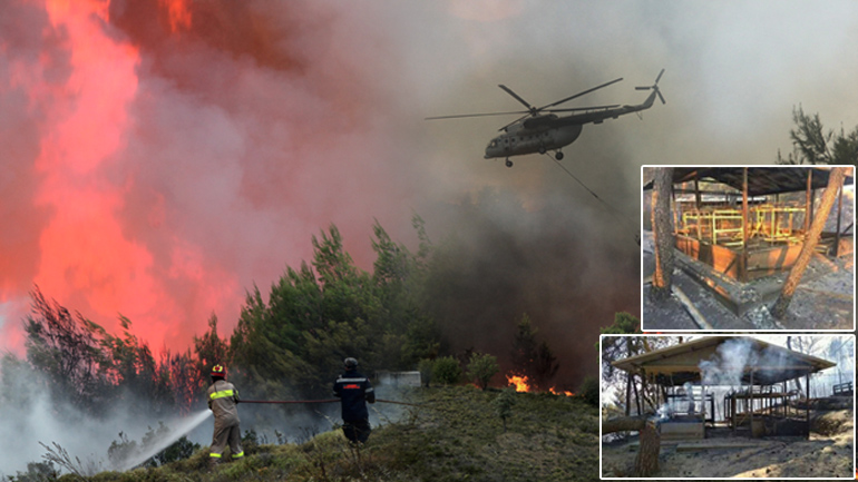 Στις φλόγες το Καπανδρίτι