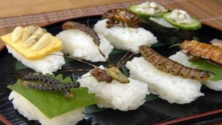 Ελβετία: Τρόφιμα από έντομα θα διατίθενται στα σουπερμάρκετ από την ερχόμενη εβδομάδα