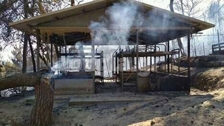 Η κατασκήνωση στον Κάλαμο μετά τον πύρινο εφιάλτη