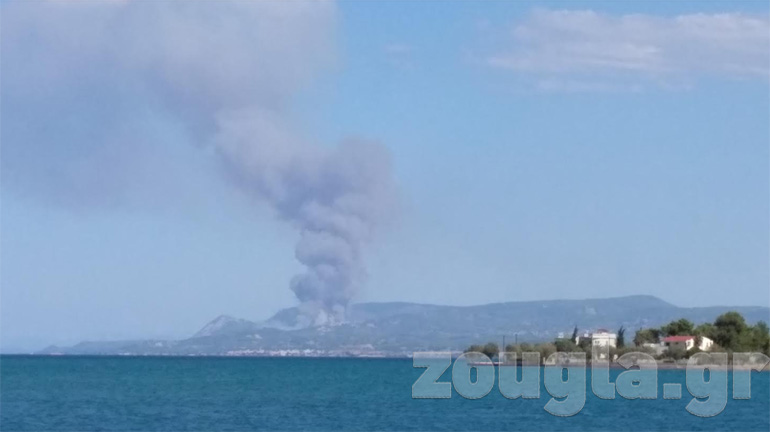 Φωτογραφία από την πυρκαγιά στον Κάλαμο