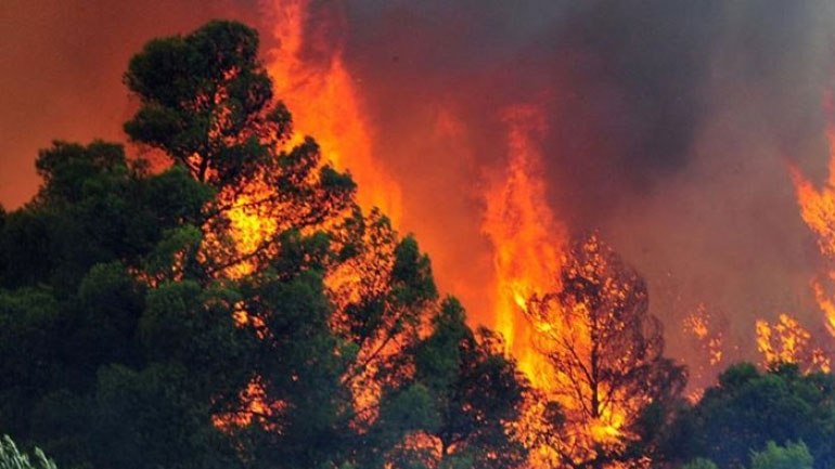 Πύργος: Σε εξέλιξη η φωτιά στην Ανάληψη