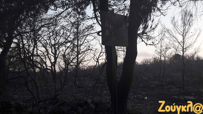 Αποκαρδιωτικές εικόνες στα Κύθηρα λίγες ημέρες μετά το πέρασμα της πύρινης λαίλαπας