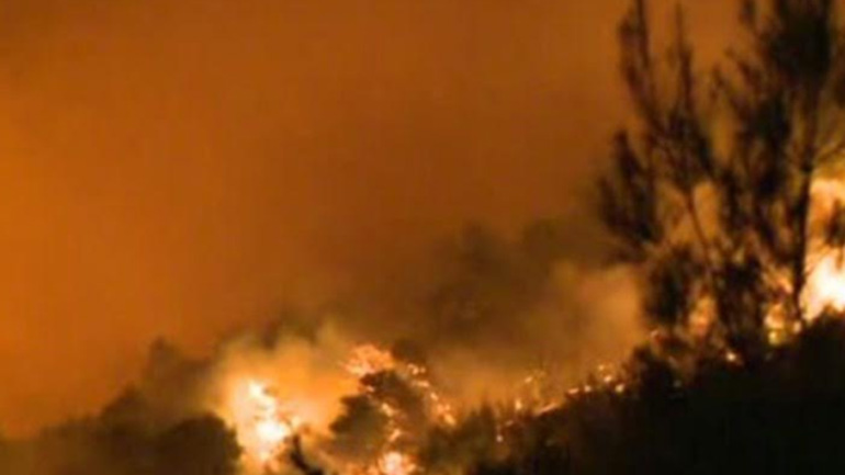 Κάηκαν και αλεπούδες και βατράχια