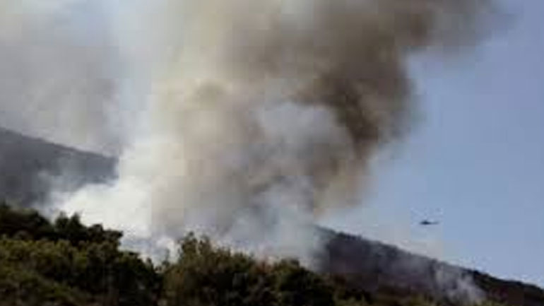 Βρέθηκε εμπρηστικός μηχανισμός κοντά σε δάσος στην Σάμο