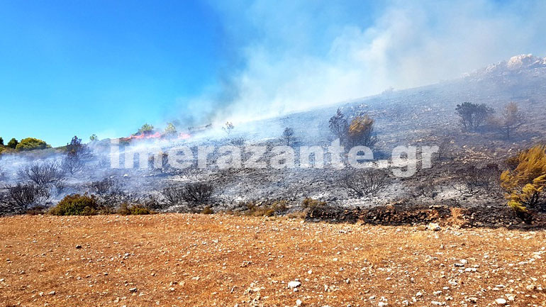 Ζάκυνθος: Πολύ κοντά στο χωριό Κοιλιωμένος η φωτιά – Οι φλόγες κατευθύνονται προς τα σπίτια
