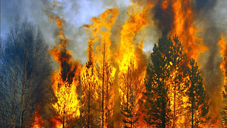 Έτοιμη να βοηθήσει την Ελλάδα στην κατάσβεση των πυρκαγιών η Κύπρος