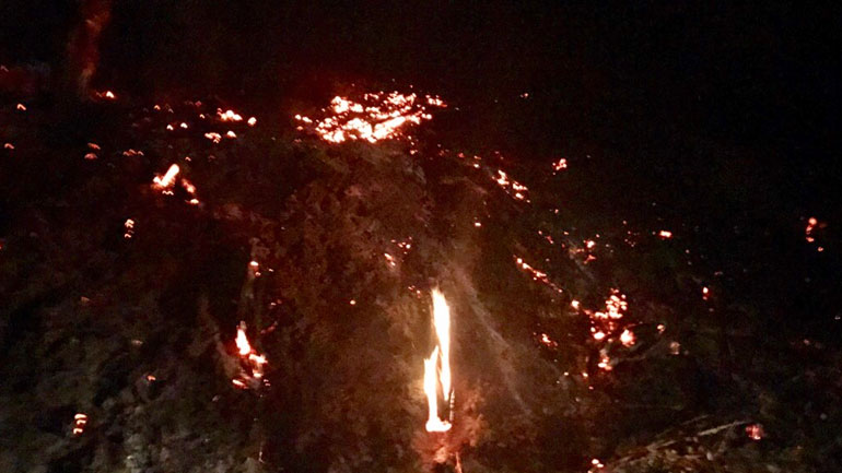 Πρέβεζα: Υπό έλεγχο μεγάλη φωτιά στο Μιχαλίτσι