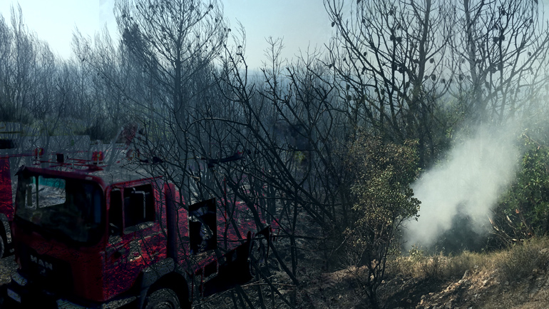 Ανενεργά τα μέτωπα στην ανατολική Αττική