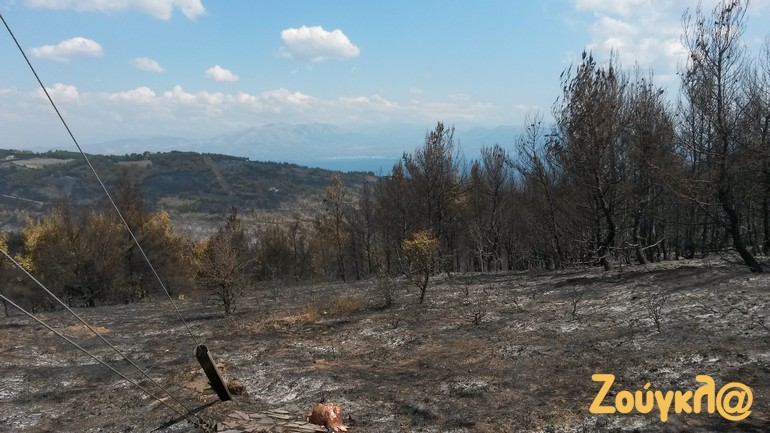Έρημο τοπίο το δάσος της περιοχής