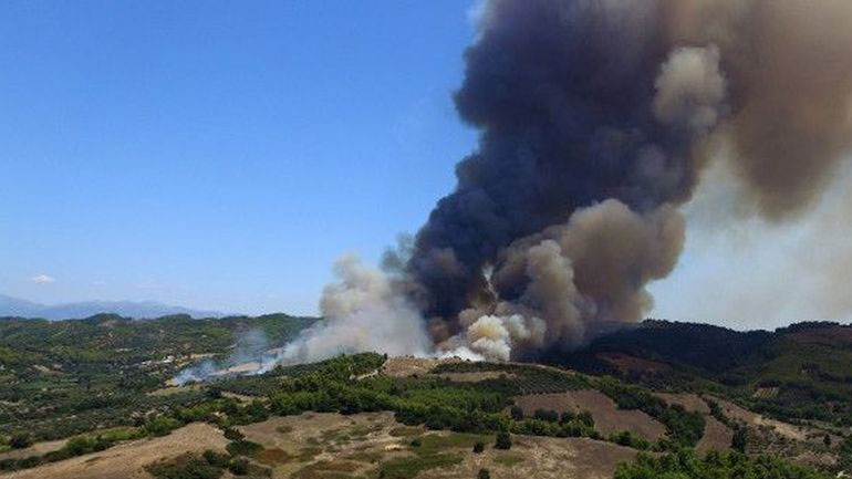 Αμαλιάδα: Οριοθετήθηκε η πυρκαγιά στην περιοχή Ανάληψη–Περιστέρι της Ηλείας