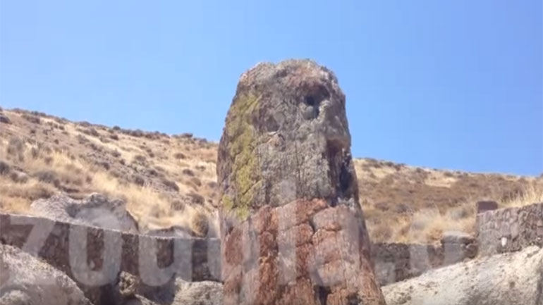 Φοιτητές των πανεπιστημίων της Νέας Υόρκης και του Πεκίνου, μελετούν τα πάρκα του απολιθωμένου δάσους Λέσβου