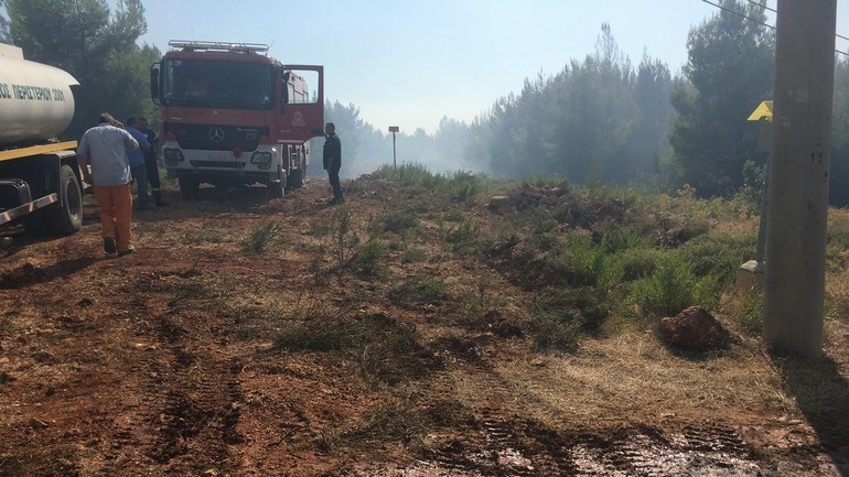 Γ.Καπάκης: Δεν έχουμε ενεργά μέτωπα στην πυρκαγιά της ανατολικής Αττικής