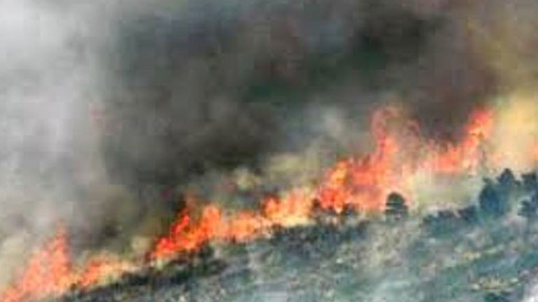 Λάρισα: Μικρής έκτασης πυρκαγιά στο Κόκκινο Νερό