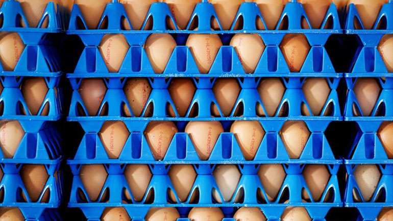 To σκάνδαλο των μολυσμένων αβγών αποκαλύφθηκε μάλλον τυχαία... Όπως όλα τα διατροφικά σκάνδαλα